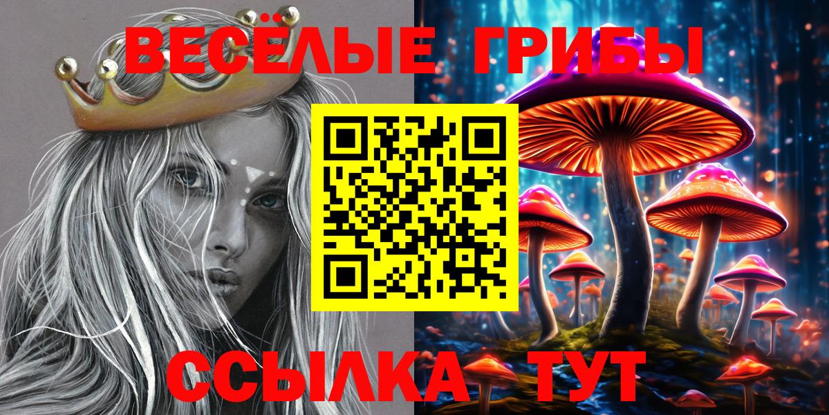 купить закладку  Галлюциногенные грибы мухоморы  Вход с VPN  Нижний Тагил  Псилоцибиновые грибы мицелий 