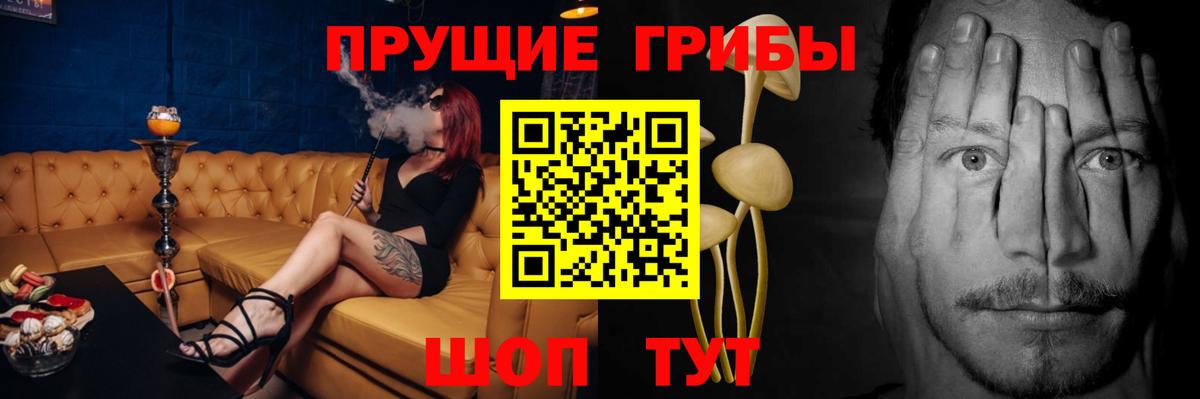 Псилоцибиновые грибы Cubensis Нижний Тагил